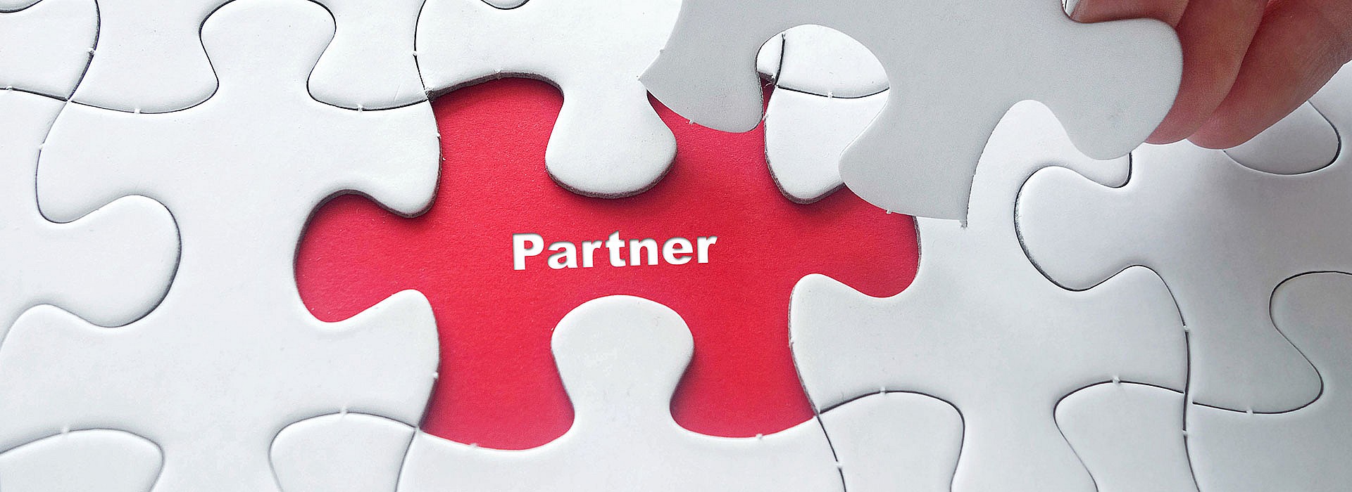 004--partner_134424656.jpg